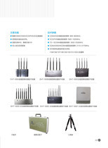 天润科技 网络科技领域内的技术开发与市场前景